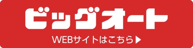 ビッグオートWEBサイトはこちら
