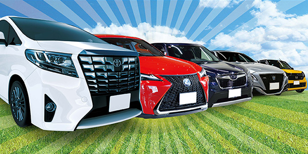 中古車販売：プロの目線で「安心の中古車」を厳選