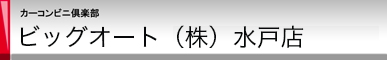 カーコンビニ倶楽部 ビッグオート(株)水戸店