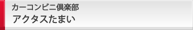 カーコンビニ倶楽部 アクタスたまい