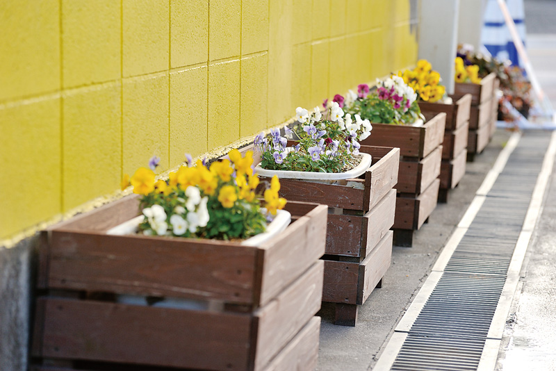 鉢植えを路面に面してレイアウト。通行人の心も和む