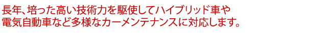 長年、培った高い技術力を駆使してハイブリッド車や電気自動車など多様なカーメンテナンスに対応します。